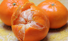 Clementine1